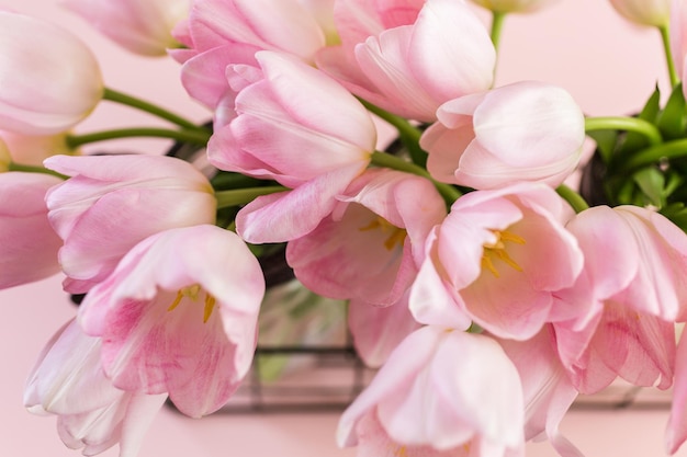 Light pink tulips on a pink background.