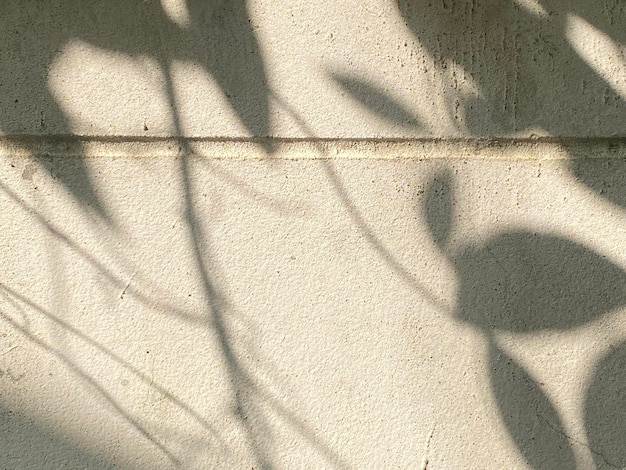 Light shadow leaves on wall texture background