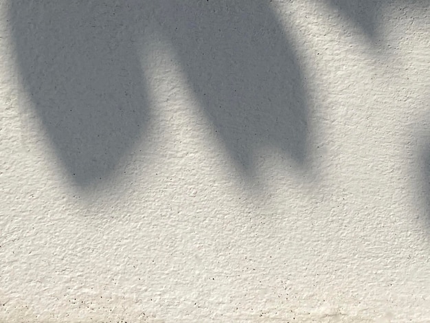 Photo light shadow leaves on wall texture background