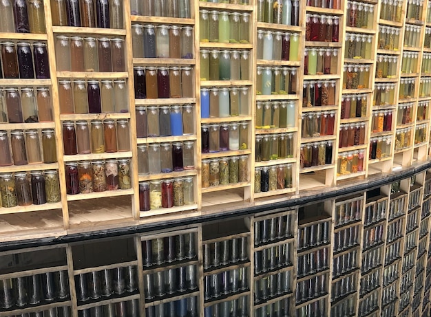 Light wall of colored bottles filled with organic material