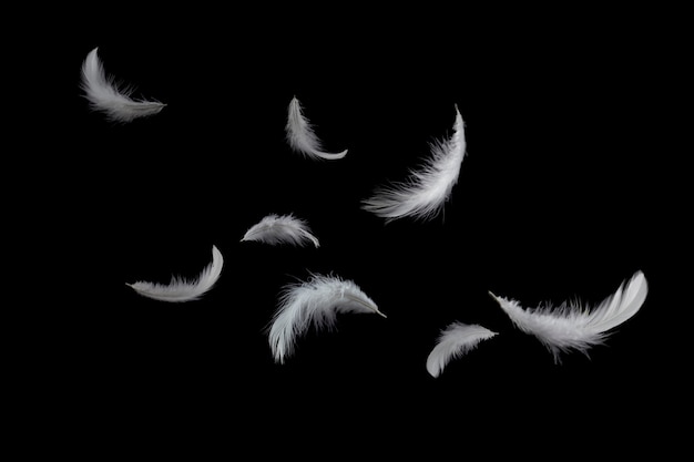 Light white feathers floating in the air, on black background