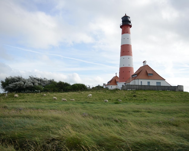 Lighthouse on field against cloudy sky