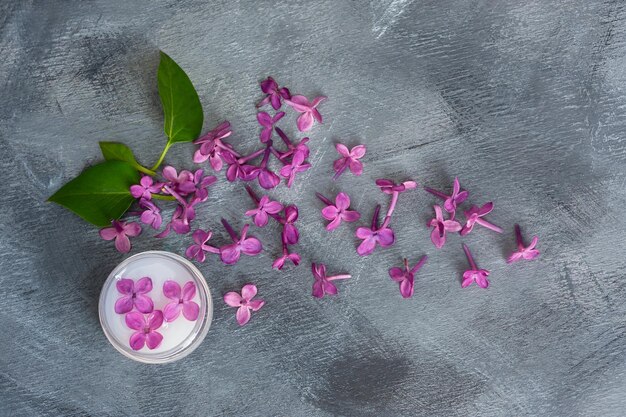 Lilac branch gray background top view