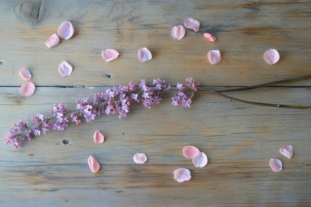 Lilac Branch with Petals on Wooden Background