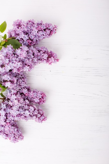 Photo lilac branches on a white wooden background, frame of lilac branches. place for the test