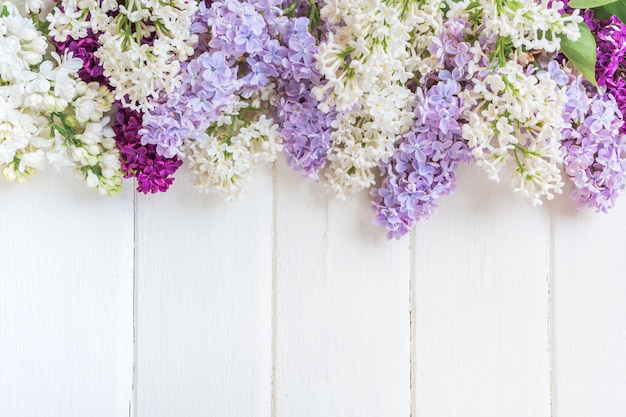 Lilac flowers branch on grey background with copy space