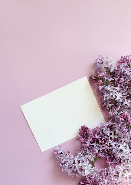 Lilac flowers on color background Spring is coming concept Text space Mock up