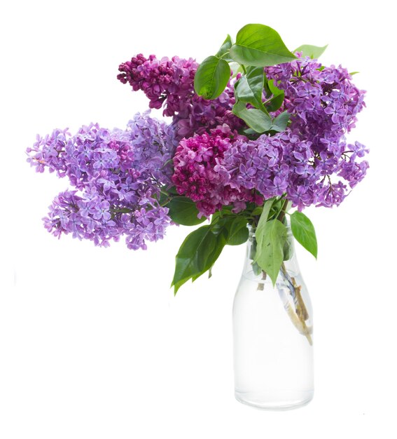 Lilac flowers in glass vase isolated on white background