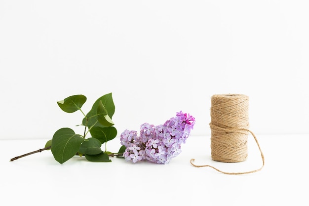 Lilac flowers isolated on a white background