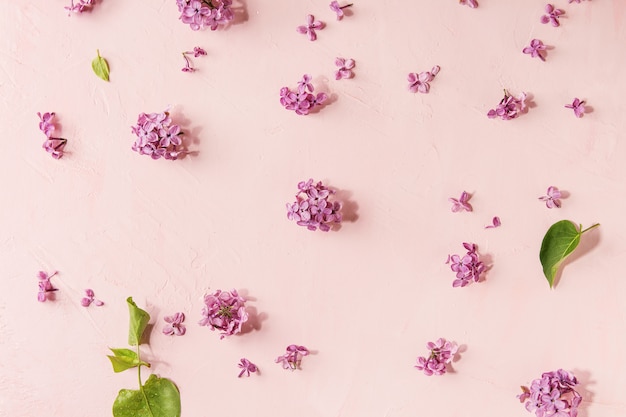 Lilac flowers over pink