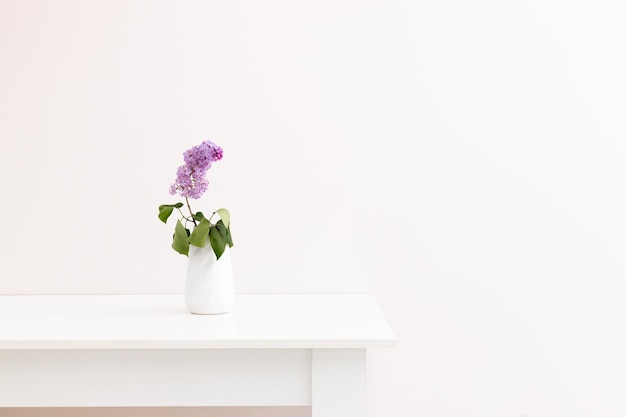 Lilac flowers in white vase on white table