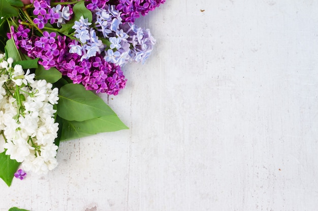 Lilac flowers on white wooden background