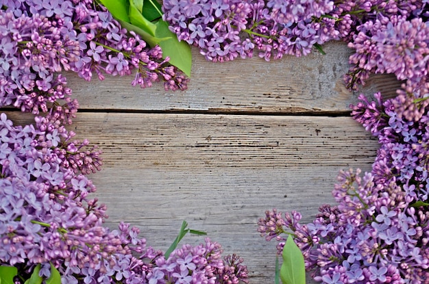 Lilac flowers on wooden background Beautiful blooming plant