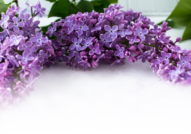 Lilac frame with space for text Floral frame on a white background