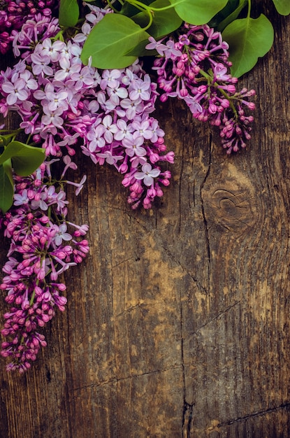 Lilac vertical background