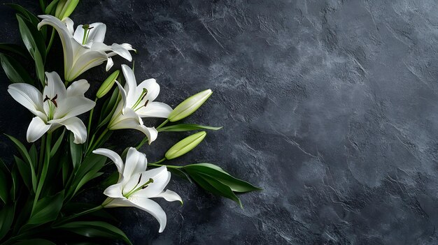 Photo lilies on a dark background perfect for funeral concepts or condolence cards