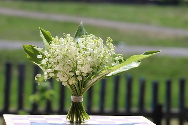 lilies of the valley