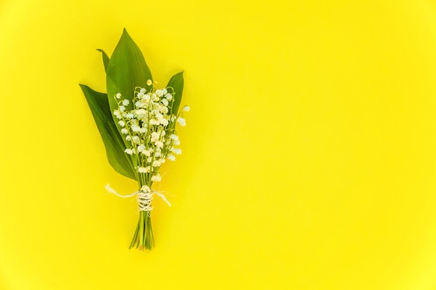 Lily of the valley or maylily on yellow background