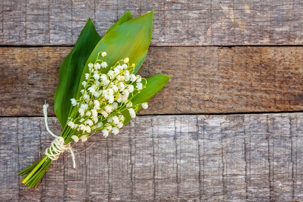 Lily of the valley or maylily