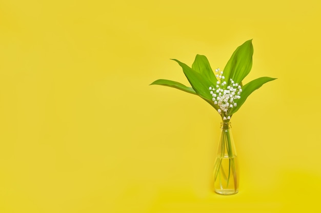 Lily of the valley on yellow background