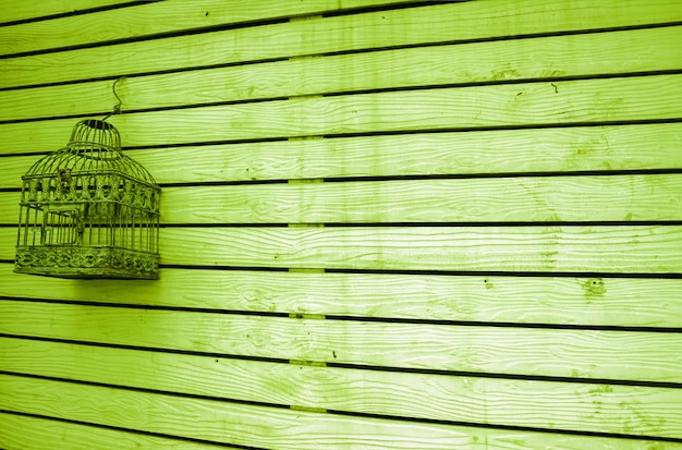 Lime Green Colored Grunge Wooden Fence with an Empty Bird Cage