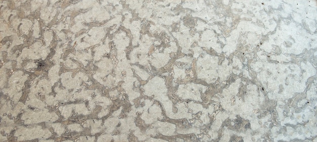 Limestone polished texture stone sample at geological laboratory materials for rock laboratory