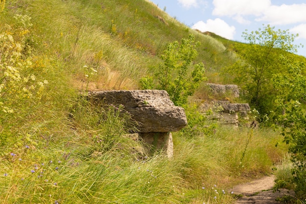 Limestone rocks on the banks of the river in the Lipetsk region Tourist and climbing place