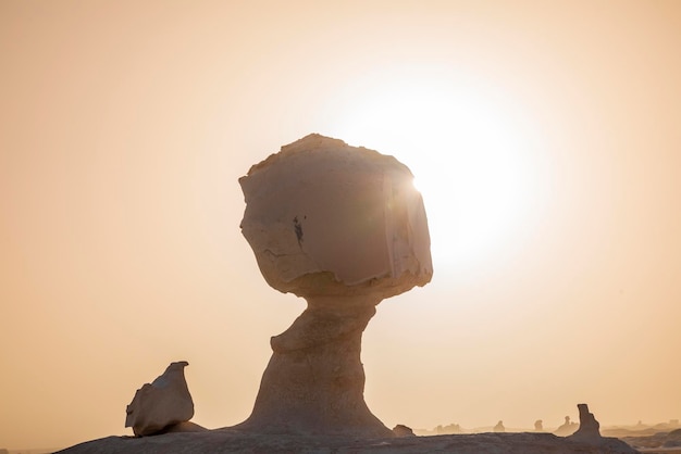 Limestone rocks in the White Desert at sunset Egypt mushroom rocks in the desert