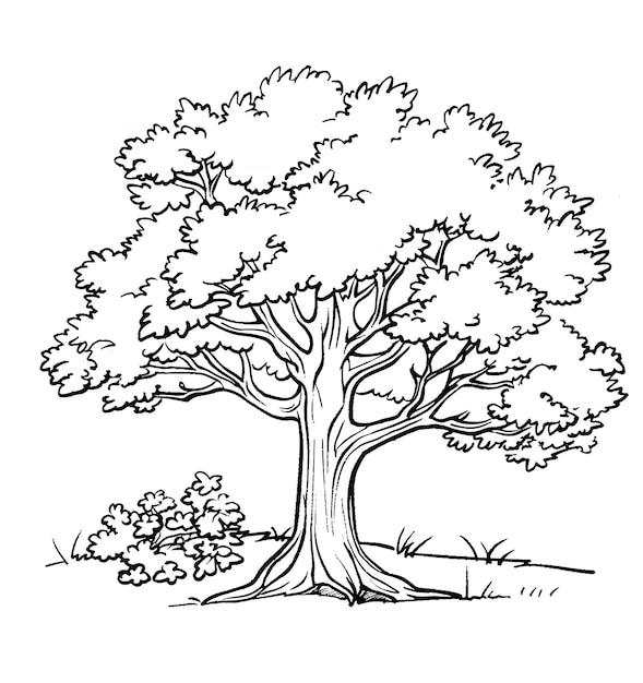 Photo line drawing of a tree with clouds for kids