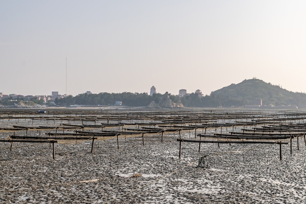 The lines and textures of the wooden frame and rope on the laver farm are on the beach in cloudy days