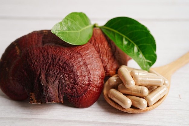 Lingzhi or Reishi mushroom with capsules organic natural healthy food