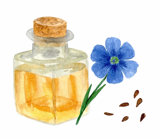 Linseed oil flax flowers and seeds Healthy food diet and cosmetic products Isolated on white background watercolor drawing