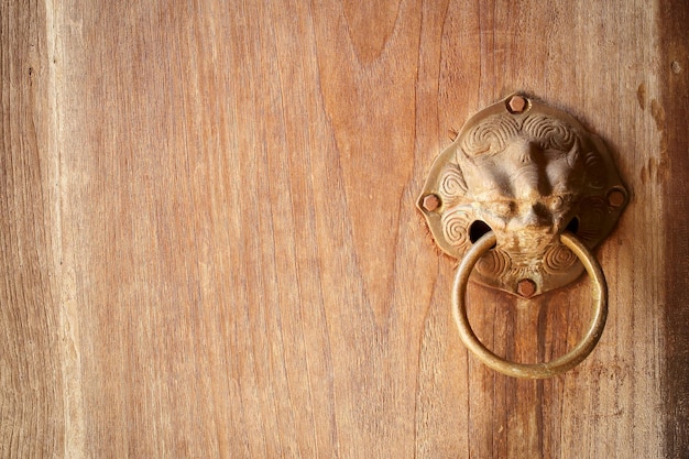 Lion head as a knocker metal handle on a old wooden door