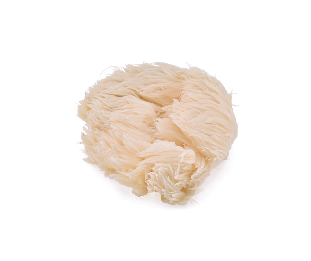 Lion mane mushroom isolated on white background.