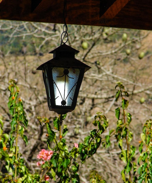 Photo a lit lamp with leaves behind