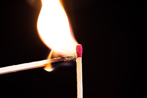 Photo lit match next to a row of unlit matches. 