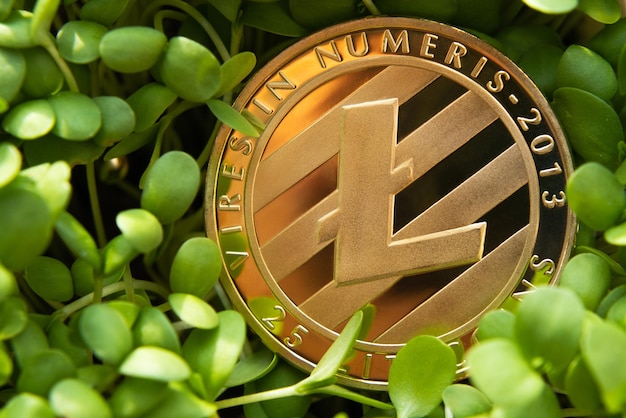 Litecoin crypto coin