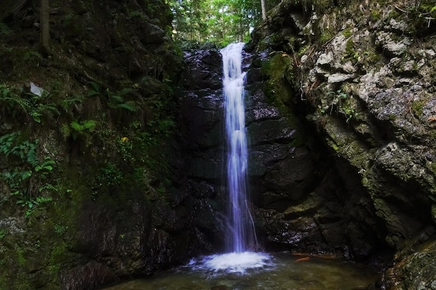 Litte wonderful waterfall over a rockface in a deep forest while hiking