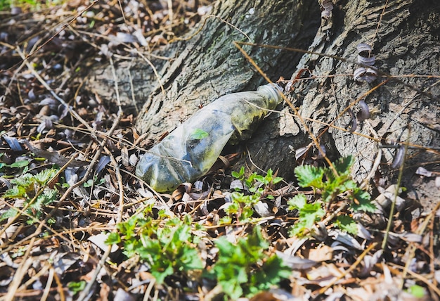 Litter in the nature Plastic bottles Pollution of the environment Ecological disaster