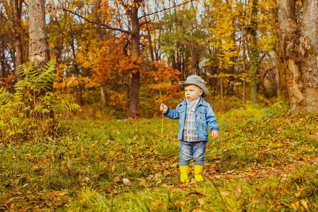 Littile boy in check shirt and a cowboy hat walking in a forest in autumn with a branch in his hand