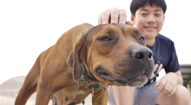 Little asian Boy Play with Cute Dog.