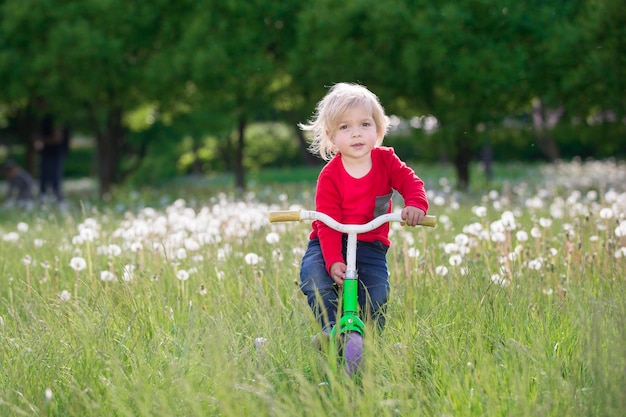 Little baby on a bicycle on a green meadow