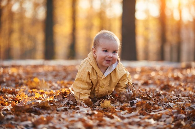 Little baby boy crawling among the fallen leaves in the autumn park at sunny day