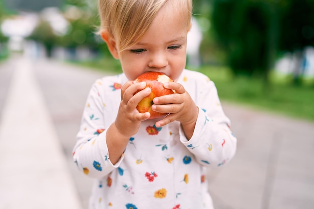 Little baby eats a red apple in park Portrait