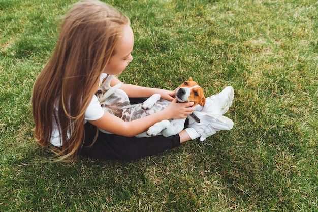 A little baby girl scratches the belly of her Jack Russell Terrier dog A happy dog is lying on the green grass in the park a pet