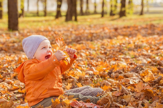 Little baby in sunny autumn park