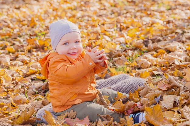 Little baby in sunny autumn park