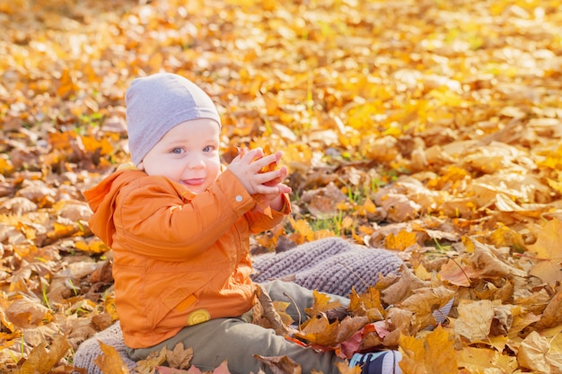 Little baby in sunny autumn park