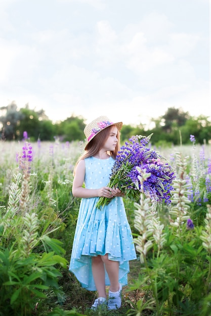 Little beautiful girl in a straw hat and dress in a field of lupins. Girl holds a large bouquet of purple lupins in a flowering field. The concept of childhood and summer holidays. nature and romance.