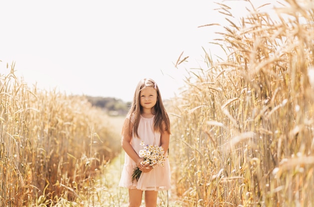 A little beautiful girl with a bouquet of daisies in a wheat field